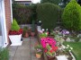 Grandma's Garden 5 * 2032 x 1524 * (1.1MB)